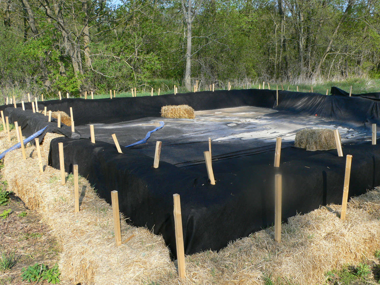 S.A. Ramsay & Associates inc. Environmental Consultants AlexRamsay.ca